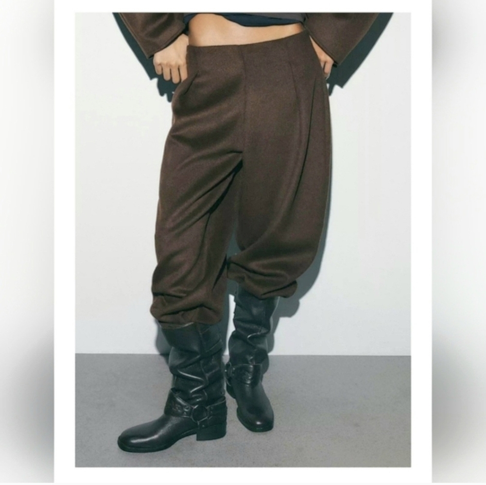 Zara Wool Barrel Pleated Pants